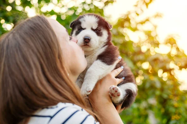 Hermosa Mujer Una Camiseta Rayas Tiernamente Abraza Pequeño Cachorro Husky —  Fotos de Stock