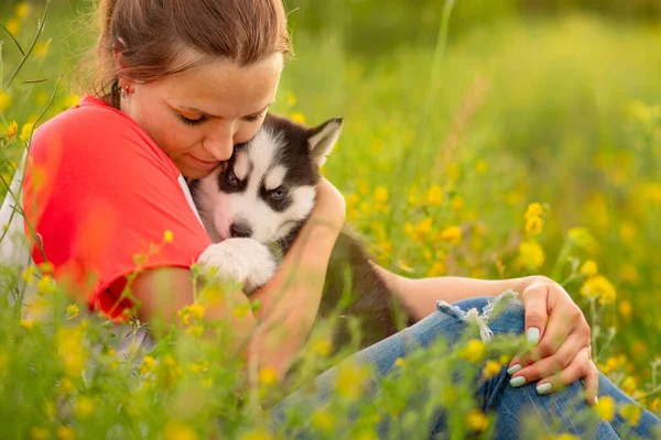 티셔츠를 여성이 야외에서 허스키 강아지를 껴안는다 사이의 관계는 — 스톡 사진