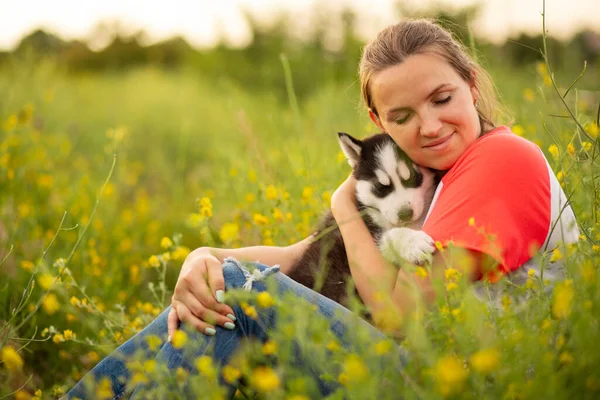 Young Woman Shirt Hugs Husky Puppy Sunset Outdoors Relationship Dog — Stock Photo, Image