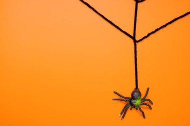 Turuncu arka planda yapay ağ üzerinde siyah oyuncak örümcek. Korkunç cadılar bayramı düz kompozisyonu. Fotokopi alanı olan turuncu bir zemin üzerinde. Cadılar Bayramı dekorasyon konsepti.