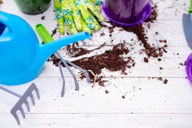 Su kovası, çiçekler, koruyucu eldivenler ve beyaz ahşap bir masada bahçe işleri için ekipman. Bahçe aletleri ve çiçekler..