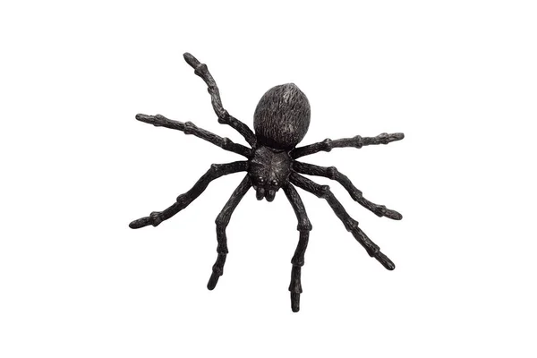 Black Rubber Spider Toy Isolated White Background Black Spider Toy — Stock Photo, Image