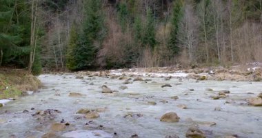 Sakin bir dere, kayalar ve ağaçlarla çevrili bir ormanlık alandan akar. Video, suyun doğal ortamdaki barışçıl hareketini yakalar, doğa teması için idealdir..