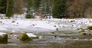 Karla kaplı bir ormanın içinden akan bir nehrin sakin kış manzarası. Sakin su, karlı kıyılar ve yemyeşil ağaçlarla çelişiyor. Huzurlu bir doğal ortam yaratıyor..
