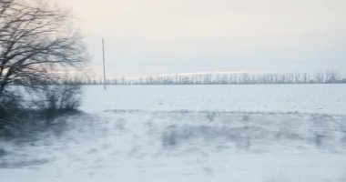 Karla kaplı tarlaları ve alacakaranlıkta çıplak ağaçları gösteren sakin bir kış manzarası videosu. Huzurlu sahne, yumuşak, pastel bir gökyüzü ile bir kış akşamının sessiz güzelliğini yakalar..