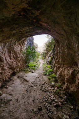 Sert oyulmuş bir mağara ya da tünelin içinden parlak bir manzara, yüksek kayalıklarla çevrili güneşli, kayalık bir yola bakıyor, kayalık arazide küçük bir ağaç ve yeşillik meydan okuyarak büyüyor..