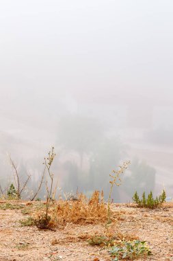 Ön planda, çöküşün kıyısındaki kuru ve bakımsız çöl bitkilerine odaklanarak uzak bir manzaranın yoğun sis tarafından yavaşça bulanıklaştığı bir vadiye bakılıyor..