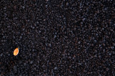 Büyük ihtimalle bir yol ya da yol olacak şekilde soyut, koyu bir desen, sol alt köşedeki yüzeyde duran küçük, parlak bir turuncu sonbahar yaprağı, güçlü bir renk kontrastı sağlıyor..