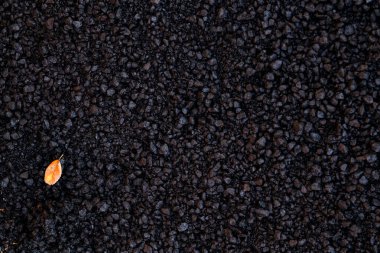 Büyük ihtimalle bir yol ya da yol olacak şekilde soyut, koyu bir desen, sol alt köşedeki yüzeyde duran küçük, parlak bir turuncu sonbahar yaprağı, güçlü bir renk kontrastı sağlıyor..