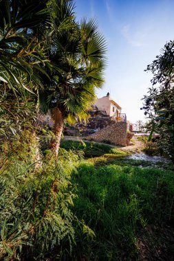Bereketli yeşil yapraklar ve palmiye ağaçları tarafından çerçevelenmiş eski bir binaya bakan ve Villajoyosa 'daki berrak mavi gökyüzünün altında taş bir merdiven..