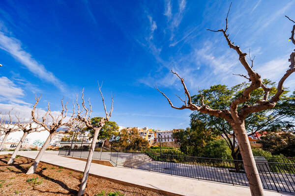 A wide perspective from a modern pedestrian area featuring pruned trees and metal railings, overlooking the famous colored houses under a clear blue sky.