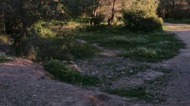 Doğal park alanındaki toprak yolun geniş bir görüntüsü, Benidorm 'un açık gökyüzünün altındaki yüksek binalara bakıyor..