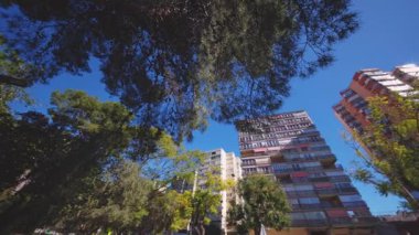 Benidorm, Alicante, Spain.2026-02-19.Ağaçların gölgesinden çekilen düz bir kare Benidorm 'un ikonik yüksek binalı yapısını bir yaz gökyüzü altında gösteriyor..