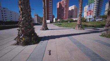 Benidorm, Alicante, Spain.2026-02-19.Taş kaldırımdan başlayan ve yükselen dinamik bir eğim atışı Benidorm 'da parlak, güneşli bir gökyüzüne karşı yüksek palmiye ağaçları ve modern yerleşim yerleri ortaya çıkarıyor..