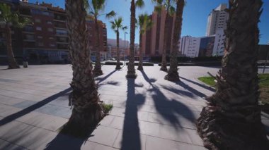 Benidorm, Alicante, Spain.2026-02-19.Açık mavi gökyüzü altında Benidorm 'un parlak güneşini ve şehir mimarisini ortaya çıkarmak için eğilen palmiye ağaçlarının dokulu gövdelerinden başlayan dinamik alçak açılı bir çekim..