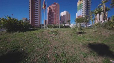 Arka planda Benidorm 'un ikonik renkli konut kuleleri ve bayraklarıyla küçük agave bitkilerinin yer aldığı yeşil çimenli bir bölgenin alçak açılı görüntüsü.
