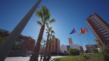 Benidorm 'da palmiye ağaçları, yüksek binalar ve parlak güneşin altında dalgalanan AB ve İspanyol bayraklarının yer aldığı modern bir meydanın geniş bir manzarası.