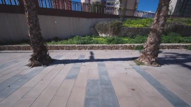 Ön planda iki palmiye ağacının bulunduğu taştan bir kaldırım manzarası, modern yerleşim kulelerine ve berrak bir güneşin altındaki yemyeşil yeşilliğe götürüyor..