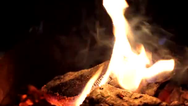 Пламя в ночи — стоковое видео