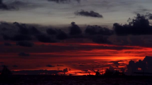 Solnedgång på stranden Videoklipp