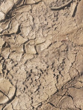 Çölde kuru toprak