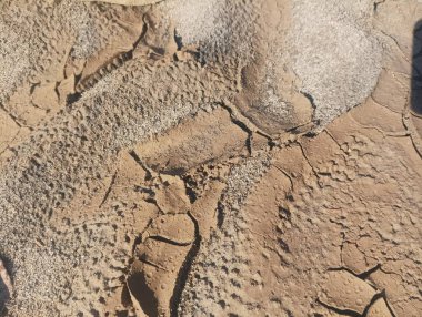 Kavrulmuş, çatlamış toprak, parlak güneş ışığı altında dağınık küçük çakıl ve kumla çelişiyor. Kurak koşulları vurguluyor.