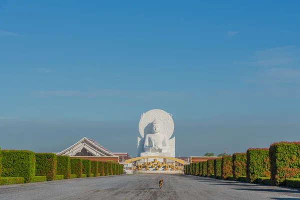 Big White Buddha image. Royalty Free Stock Photos