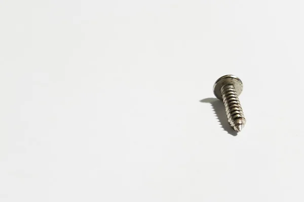 Un tornillo cola magra sobre fondo blanco —  Fotos de Stock