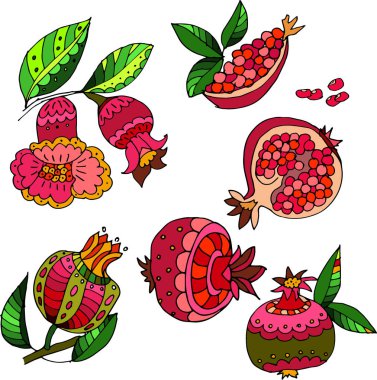 Set of vector decorative fruits whole and slices of juicy ripe pomegranate, flowering branch and leaves of pomegranate on a white background.