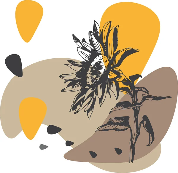 Ilustración Vectorial Imagen Gráfica Flor Girasol Decoración Diseño Moderno Con — Archivo Imágenes Vectoriales