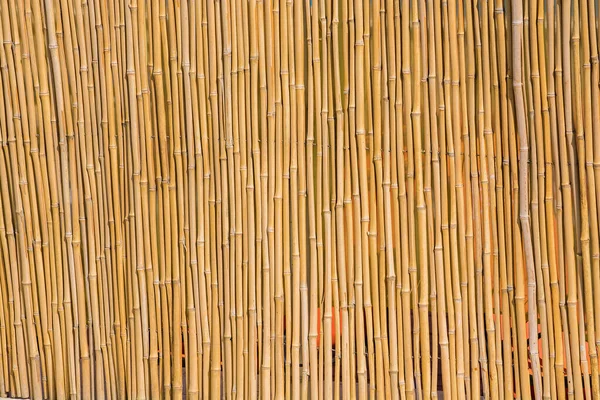 Суха Бамбукова Текстура Природного Фону — стокове фото