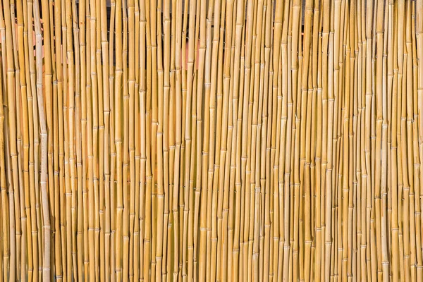 Суха Бамбукова Текстура Природного Фону — стокове фото