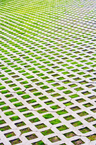 Grama Verde Cresce Através Telha Fundo Bonito — Fotografia de Stock