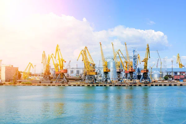 海上貨物産業港の貨物コンテナターミナル 青い空を背景にポート貨物クレーン 海港の大規模な穀物エレベーター — ストック写真