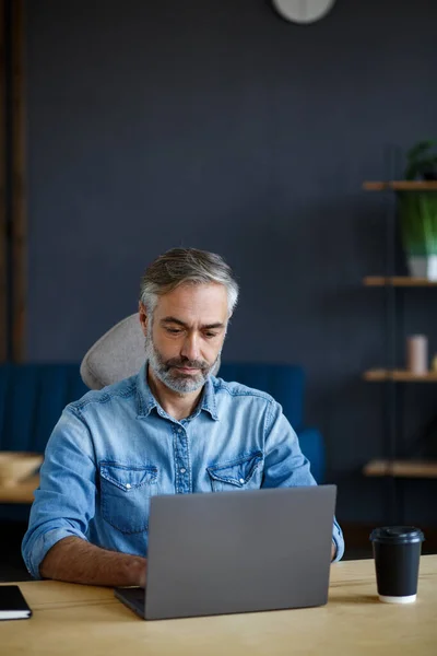 Hombre mayor de pelo gris que trabaja en la oficina del hogar con portátil. Retrato de negocios del gerente guapo sentado en el lugar de trabajo. Estudiar en línea, cursos en línea. Concepto empresarial —  Fotos de Stock