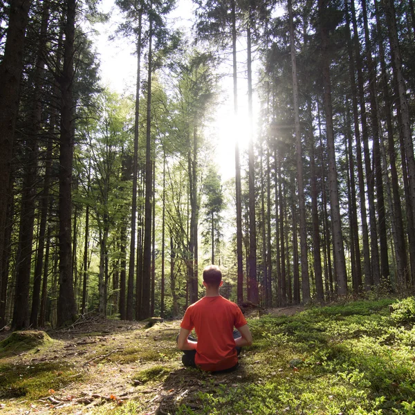 Konsantrasyon ve meditasyon