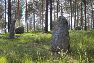 Yeşil orman dağınık gizemli taşlar, Çek Cumhuriyeti