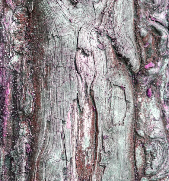 Tronco de árbol teñido púrpura, patrón o textura de madera abstracta — Foto de Stock