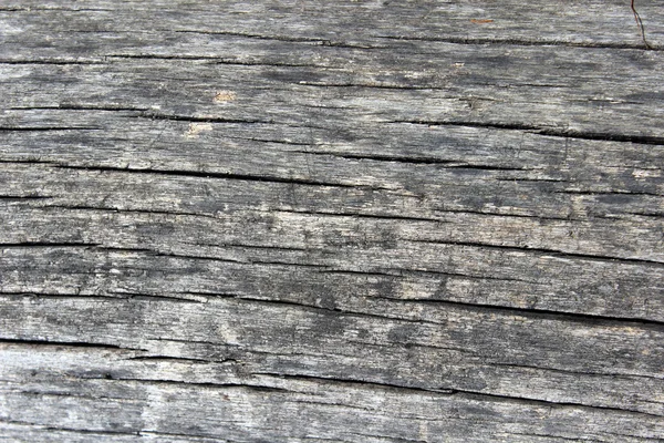Textura de madera natural, fondo abstracto o gráficos de patrón — Foto de Stock