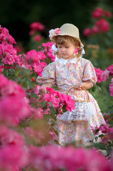 Menina pequena com uma cesta recolhe pétalas de rosas — Fotografia de Stock