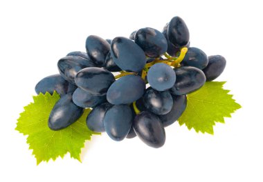 Beyaz arkaplanda koyu mavi üzümler