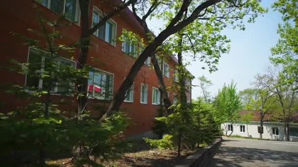 Árboles en el patio del jardín de infantes — Vídeo de stock