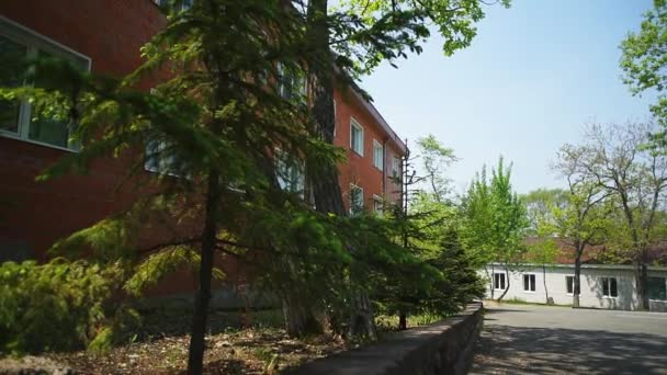 Trees on courtyard of the kindergarten — Stock Video