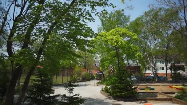 Деревья во внутреннем дворе детского сада — стоковое видео