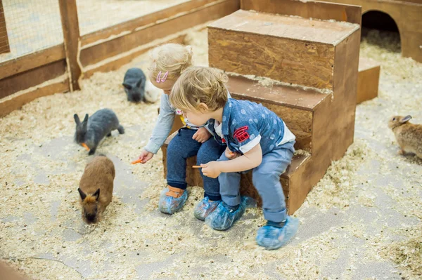 Les enfants jouent avec les lapins dans le zoo pour enfants — Photo