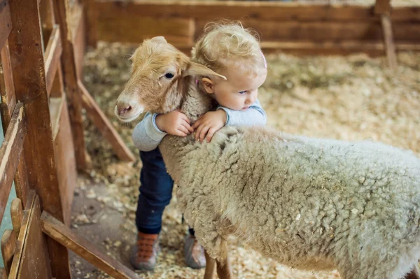 Girl hugging lamb — Stock Photo, Image