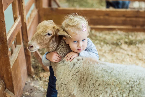 Girl hugging lamb — Stock Photo, Image