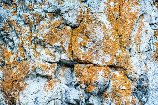 Текстура каменів — стокове фото