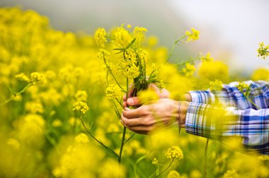 Sarı çiçek holding erkekler eller