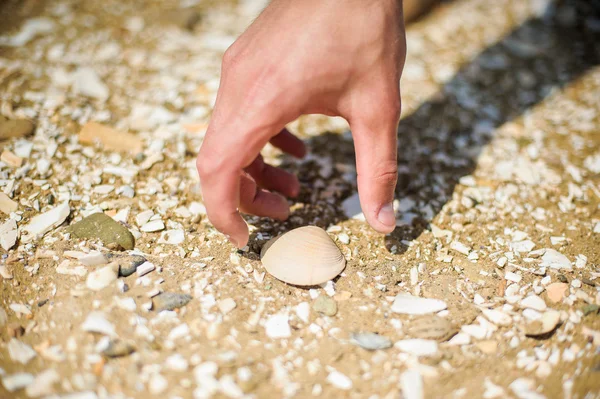 Чоловік знайшов снаряди на березі моря — стокове фото